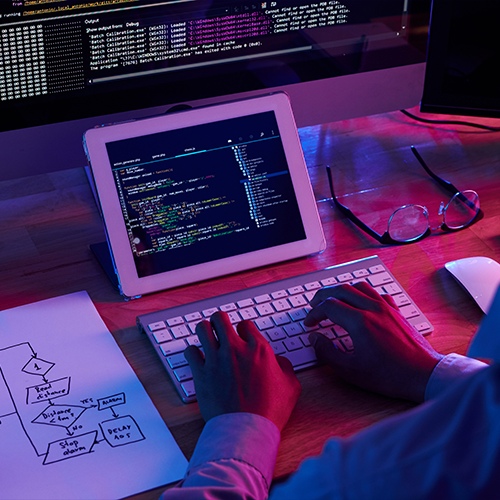 Web Development